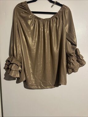 Cato Shimmery Taupe Off-Shoulder Ruffle Sleeve Top